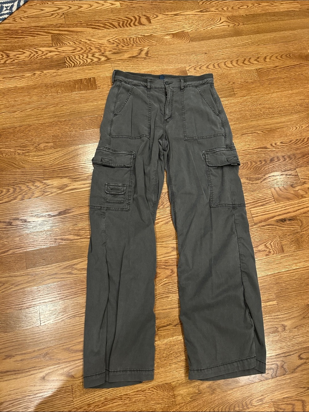 American Eagle Outfitters stretch cargo pants